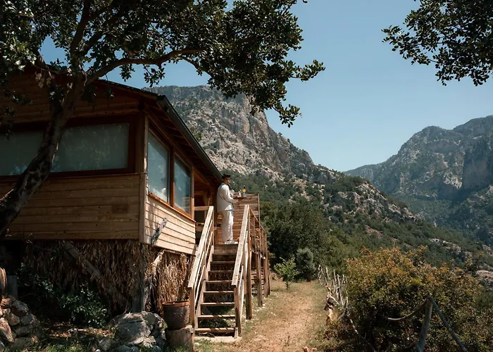 Olive Garden Kabak